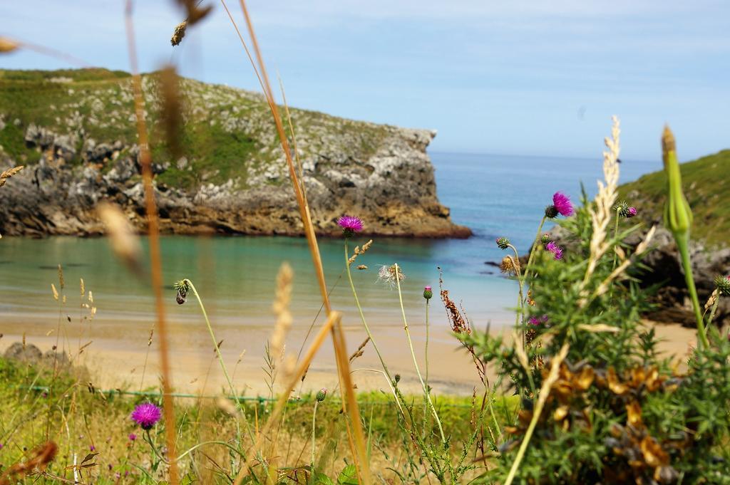 El Juacu Pensionat Llanes Exteriör bild